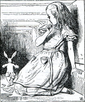 Alice-white rabbit